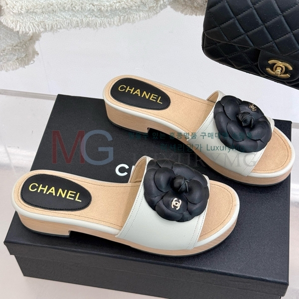  *  CH540002-6