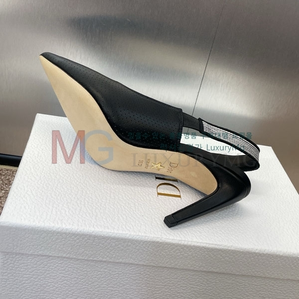  Toujours   MZ099907-1
