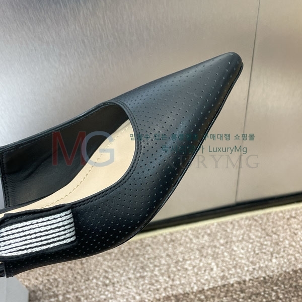   Toujours   MZ099908-1
