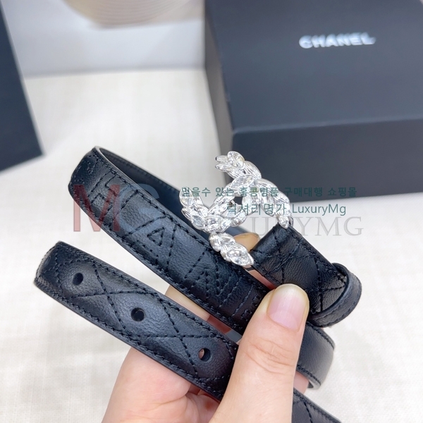  * Ʈ  2cm CH371313-1