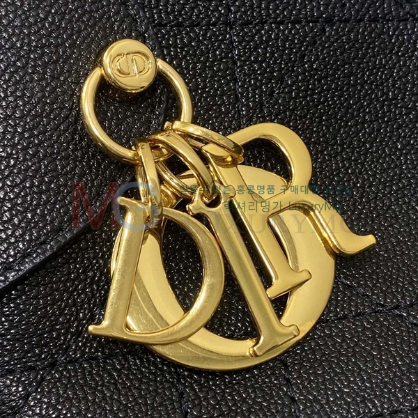  DIOR Voyage ̵  M2846-1